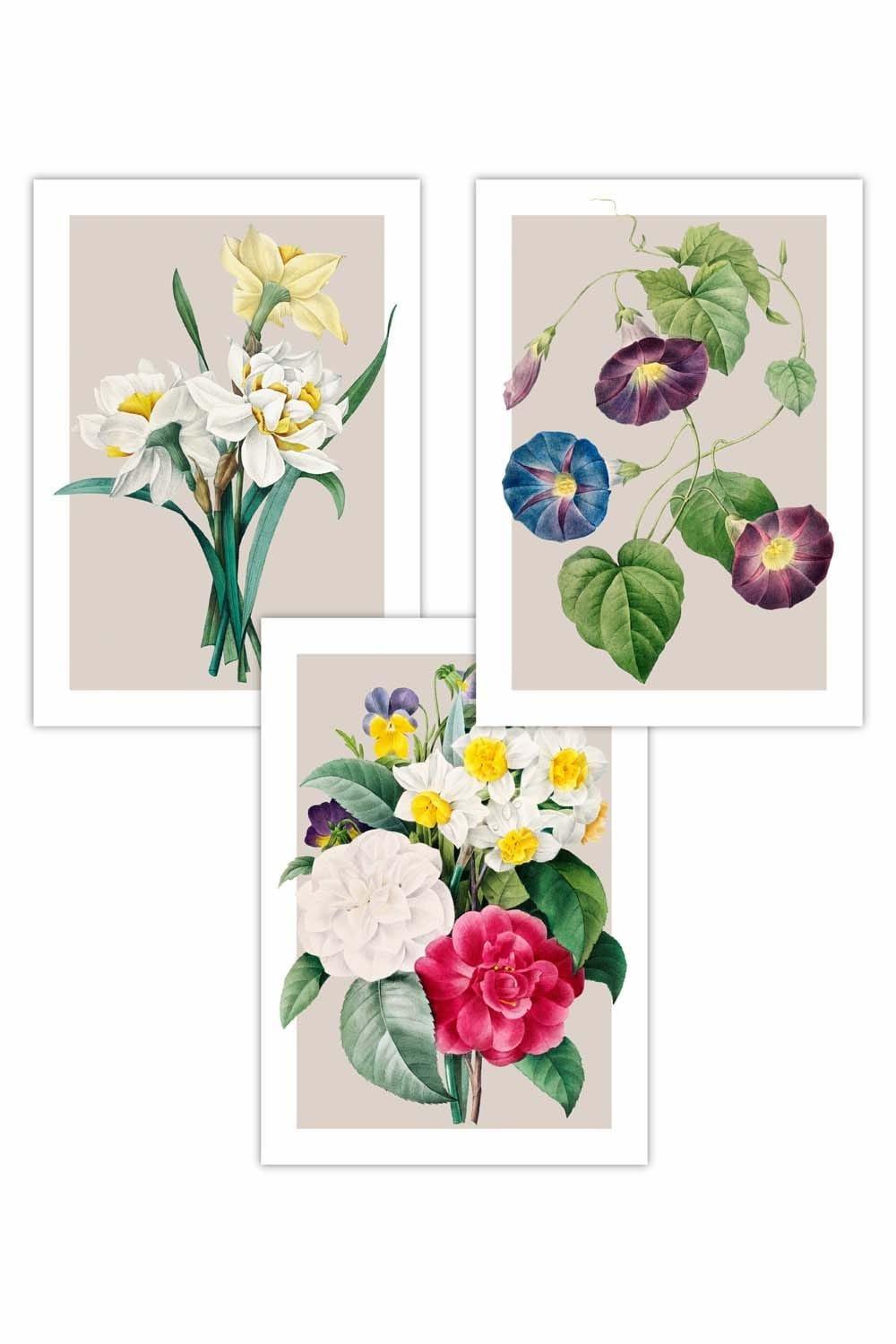 Set of 3 Vintage Spring Flowers Daffodil on Beige Art Posters